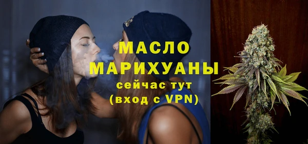 гидра Заводоуковск