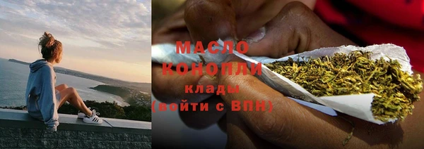 гидра Заводоуковск