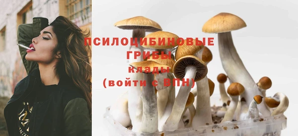 гидра Заводоуковск