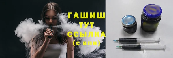 гидра Заводоуковск