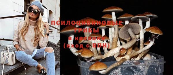 гидра Заводоуковск