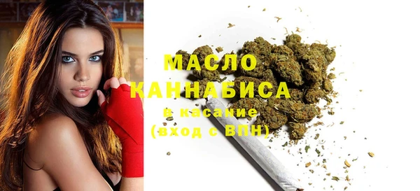 гидра Заводоуковск