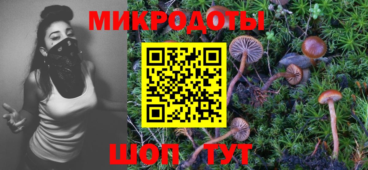 Казань  Псилоцибиновые грибы ЛСД  Вход с VPN 
