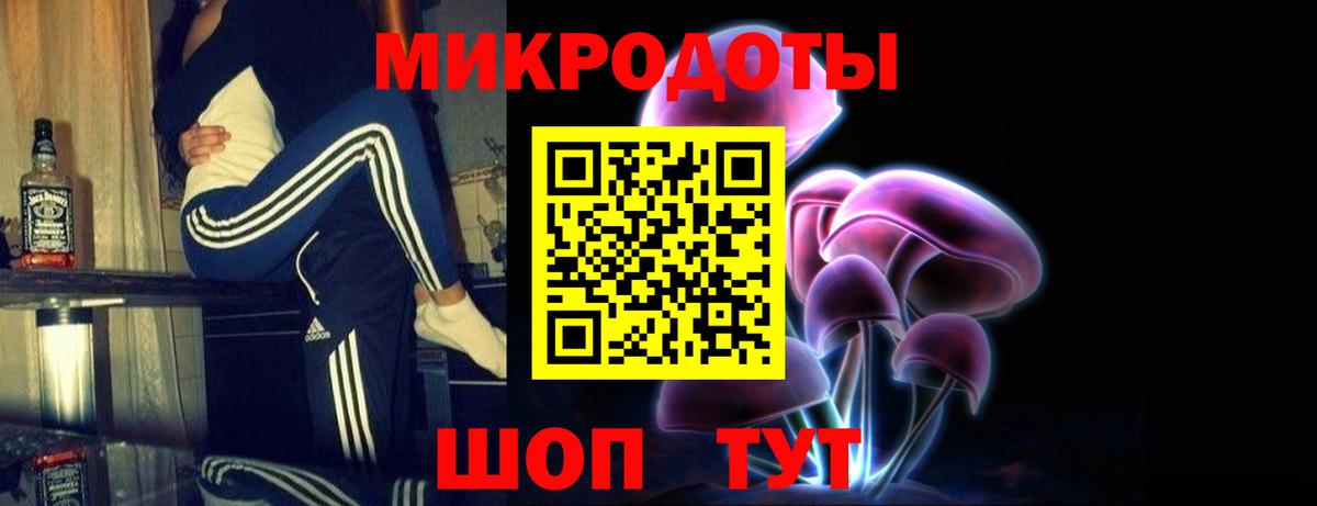 Псилоцибиновые грибы Psilocybe Казань