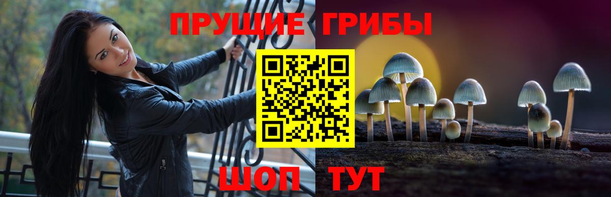 Галлюциногенные грибы Psilocybine cubensis  купить наркоту  Галлюциногенные грибы Psilocybine cubensis  Казань 